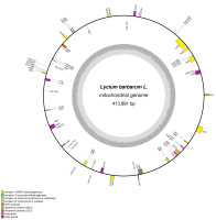 https://www.journalssystem.com/asbp/f/fulltexts/170979/Figure_1_min.jpg