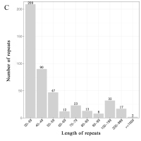 https://www.journalssystem.com/asbp/f/fulltexts/170979/Figure_3c_min.jpg