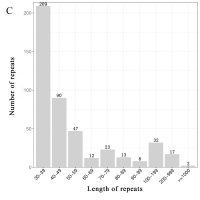 https://www.journalssystem.com/asbp/f/fulltexts/170979/Figure_3c_min.jpg