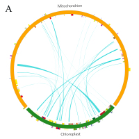 https://www.journalssystem.com/asbp/f/fulltexts/170979/Figure_4a_min.jpg