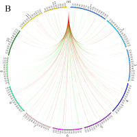 https://www.journalssystem.com/asbp/f/fulltexts/170979/Figure_4b_min.jpg