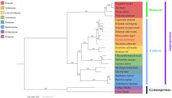 https://www.journalssystem.com/asbp/f/fulltexts/170979/Figure_6_min.jpg