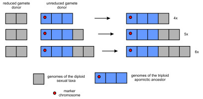 https://www.journalssystem.com/asbp/f/fulltexts/172418/Figure_1_min.jpg