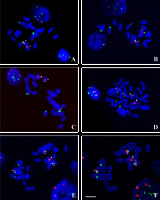 https://www.journalssystem.com/asbp/f/fulltexts/172418/Figure_2_min.jpg