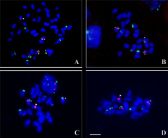 https://www.journalssystem.com/asbp/f/fulltexts/172418/Figure_3_min.jpg