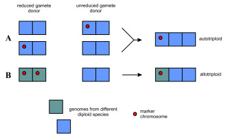 https://www.journalssystem.com/asbp/f/fulltexts/172418/Figure_4_min.jpg