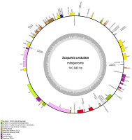 https://www.journalssystem.com/asbp/f/fulltexts/172516/Figure_1_min.jpg