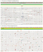 https://www.journalssystem.com/asbp/f/fulltexts/172516/Figure_2_min.jpg