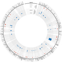 https://www.journalssystem.com/asbp/f/fulltexts/172516/Figure_3_min.jpg