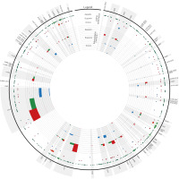 https://www.journalssystem.com/asbp/f/fulltexts/172516/Figure_5_min.jpg