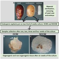 https://www.journalssystem.com/asbp/f/fulltexts/176092/Figure_1_min.jpg