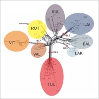 https://www.journalssystem.com/asbp/f/fulltexts/176369/Figure_6_min.jpg