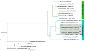 https://www.journalssystem.com/asbp/f/fulltexts/176370/Figure_2_min.jpg