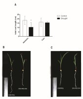 https://www.journalssystem.com/asbp/f/fulltexts/177274/Figure_1_min.jpg