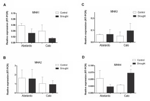 https://www.journalssystem.com/asbp/f/fulltexts/177274/Figure_6_min.jpg