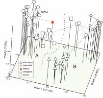 https://www.journalssystem.com/asbp/f/fulltexts/177735/Figure_2_min.jpg