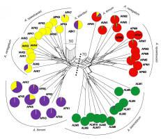 https://www.journalssystem.com/asbp/f/fulltexts/177735/Figure_3_min.jpg