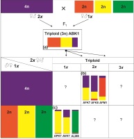 https://www.journalssystem.com/asbp/f/fulltexts/177735/Figure_5_min.jpg