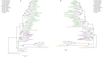 https://www.journalssystem.com/asbp/f/fulltexts/177922/Figure_9_min.jpg