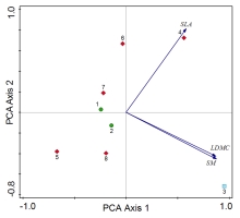 https://www.journalssystem.com/asbp/f/fulltexts/181645/Figure_4_min.jpg