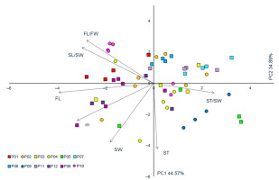 https://www.journalssystem.com/asbp/f/fulltexts/187157/Figure_4_min.jpg