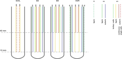 https://www.journalssystem.com/asbp/f/fulltexts/187377/Figure_7_min.jpg