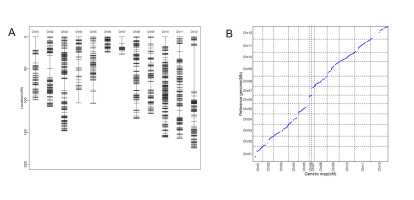 https://www.journalssystem.com/asbp/f/fulltexts/190172/Figure_1_min.jpg
