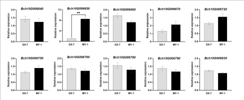https://www.journalssystem.com/asbp/f/fulltexts/190172/Figure_4_min.jpg