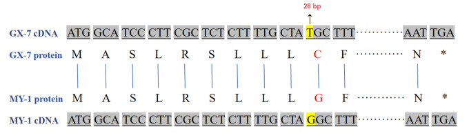https://www.journalssystem.com/asbp/f/fulltexts/190172/Figure_5_min.jpg
