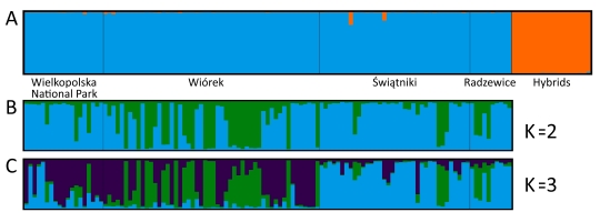 https://www.journalssystem.com/asbp/f/fulltexts/195652/Figure_2_min.jpg
