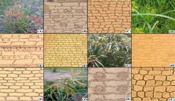 https://www.journalssystem.com/asbp/f/fulltexts/196357/Figure_1_min.jpg