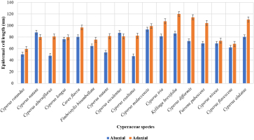 https://www.journalssystem.com/asbp/f/fulltexts/196357/Figure_5_min.jpg