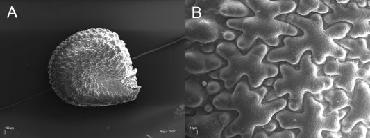 https://www.journalssystem.com/asbp/f/fulltexts/202669/Figure_14_min.jpg