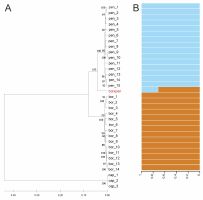 https://www.journalssystem.com/asbp/f/fulltexts/202669/Figure_18_min.jpg