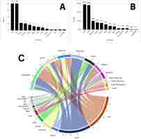 https://www.journalssystem.com/asbp/f/fulltexts/203244/Figure_7_min.jpg