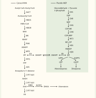 https://www.journalssystem.com/asbp/f/fulltexts/203695/Figure_1_min.jpg