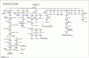 Enzymes upregulated in monoterpenoid biosynthesis.
