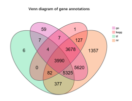 Venn diagram of gene annotations. The Venn diagram of gene annotations illustrates the overlap and uniqueness of gene annotations across four annotation databases: GO (Gene Ontology), KEGG (Kyoto Encyclopedia of Genes and Genomes), TF (Transcription Factor), and NR (Non-Redundant protein database). Pairwise and higher-order overlaps are also represented. 3,678 genes were common to GO, KEGG, and NR, but absent from the TF annotations. A substantial number of genes, 5,325, were shared between NR and KEGG alone, whereas fewer genes overlapped with the other combinations. There were 3,990 common unigenes in the four types of gene annotations.
