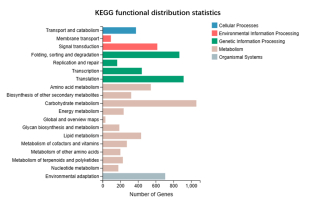 Functional distribution map and species distribution map. KEGG functional distribution statistics reveal that the most enriched KEGG pathway is Carbohydrate metabolism, with 1,059 annotated genes. In addition, 229 unigenes were involved in the“Metabolism of terpenoids and polyketides”pathway.