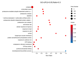 Differentially expressed gene analysis of GO-UP. The top 20 pathways with the smallest Q values were selected. Notably, although the “Monoterpenoid biosynthetic process”pathway was not among the top 20 pathways, it had a Q value < 0.1 and aligned with previous gene annotation results as well as subsequent KEGG enrichment findings.