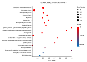 Differentially expressed gene analysis of GO-DOWN. The top 20 pathways with the smallest Q values were selected.