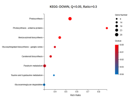 Differentially expressed gene analysis of KEGG-DOWN. Eight pathways with Q values < 0.05 were identified.