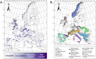 Distribution model of Rehmia furfurosa in Europe. Panel A: map with color gradient showing habitat suitability; areas with missing data are marked with a grid. Panel B: map of confirmed occurrences according to GBIF; new records in Poland are marked with red circles; mountain massif names and their color symbols are shown below the map.