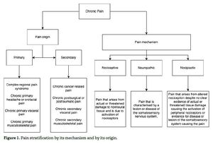 BADANIA NEUROFIZJOLOGICZNE W STRATYFIKACJI ZESPOŁU BÓLU PRZEWLEKŁEGO – PRZEGLĄD NARRACYJNY