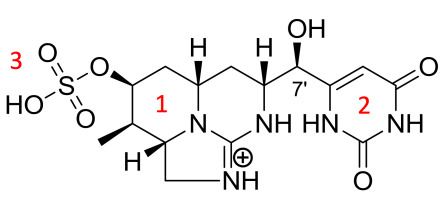 https://www.journalssystem.com/wbo/f/fulltexts/169212/Rycina_1_min.jpg