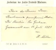 https://www.journalssystem.com/wbo/f/fulltexts/197071/Rycina_4_min.jpg