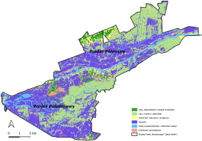 Mapa Parku Narodowego „Ujście Warty” przedstawiająca rozmieszczenie głównych zbiorowisk roślinnych w jego granicach. Obszar parku ma wydłużony, nieregularny kształt i obejmuje dwie zasadnicze części: Polder Północny (w części środkowo-północnej) oraz Polder Południowy (w części południowo-zachodniej). Zastosowano barwną klasyfikację głównych typów roslinnosci: lasy oznaczono kolorem ciemnozielonym, łąki i pastwiska – jasnozielonym, roślinność ruderalną – żółtym, szuwary – fioletowym, wody – niebieskim, a roślinność namuliskową – różowym. Największy udział powierzchniowy mają szuwary oraz łąki i pastwiska, dominujące zwłaszcza w części centralnej i południowej. Lasy i zadrzewienia koncentrują się głównie w części północnej. Sieć wód powierzchniowych tworzy rozbudowany system koryt rzecznych, kanałów i starorzeczy. Na mapie zaznaczono granicę parku czarną linią, skalę liniową w zakresie 0–2 km oraz strzałkę wskazującą kierunek północny.